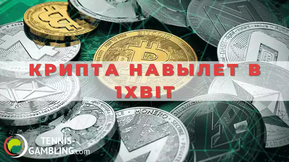 Крипта навылет в 1xbit