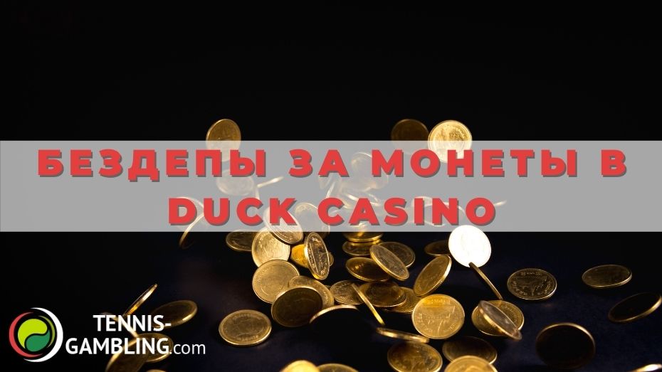 Бездепы за монеты в Duck Casino
