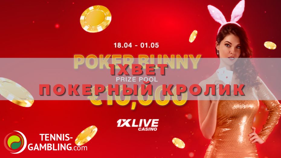 1xBet Покерный кролик: турнир на 10 тысяч евро