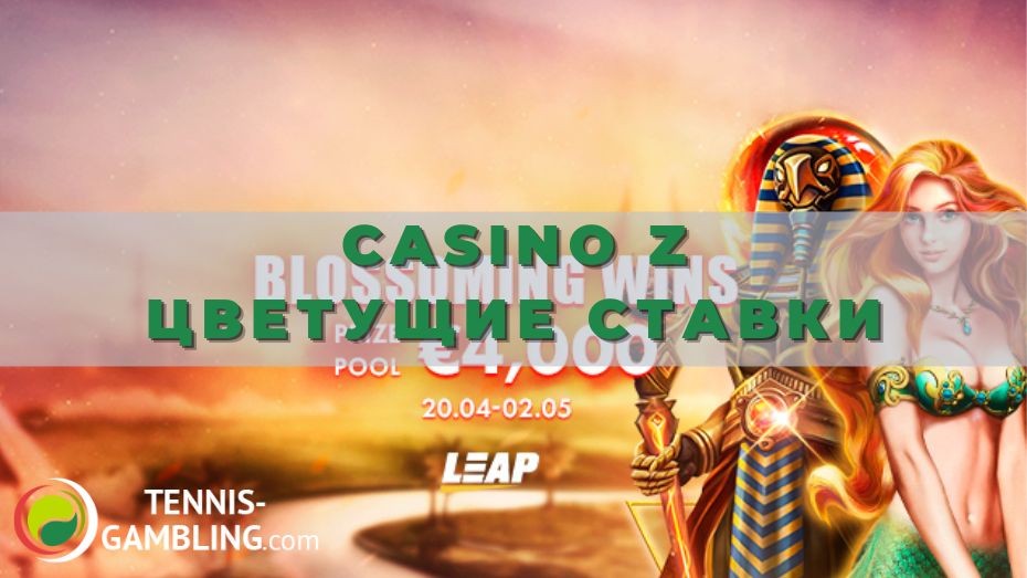 Casino Z Цветущие ставки: ставим до победы