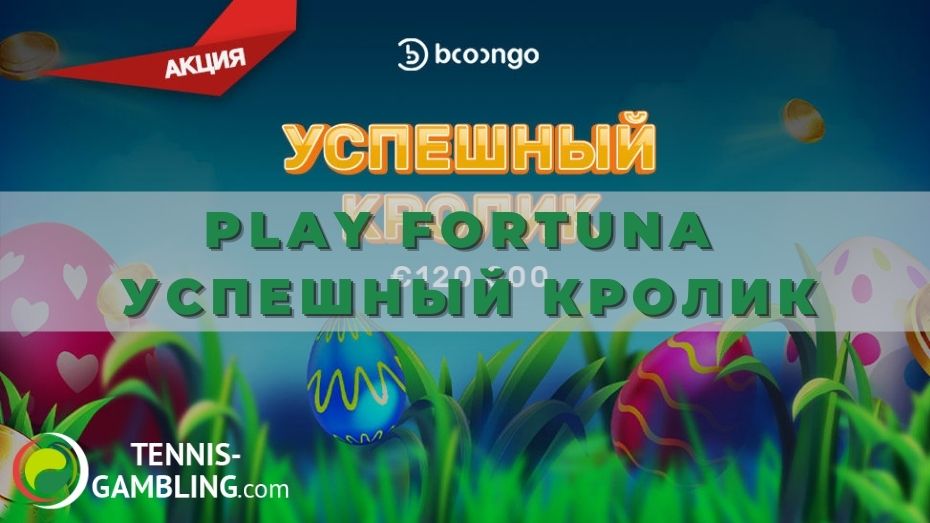 Play Fortuna Успешный кролик: правила слот-турнира