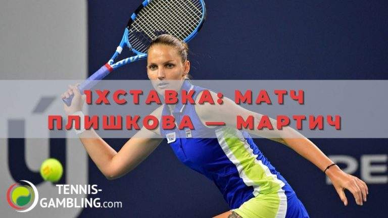 1хставка: матч Каролина Плишкова — Петра Мартич