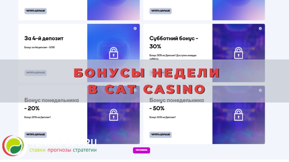Бонусы недели в Cat casino