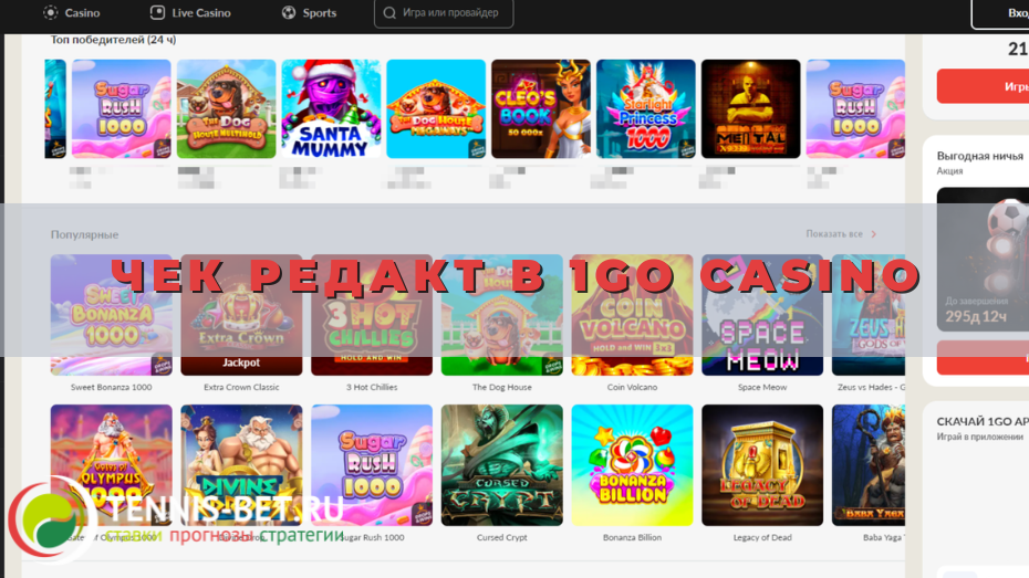 Чек редакт в 1Go casino