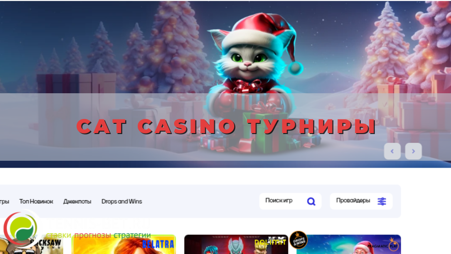 Cat casino турниры