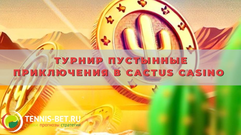 Турнир Пустынные приключения в Cactus casino: секреты побед