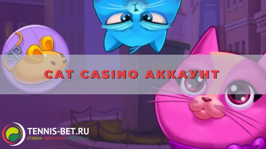 Cat casino аккаунт: все плюсы в одном обзоре