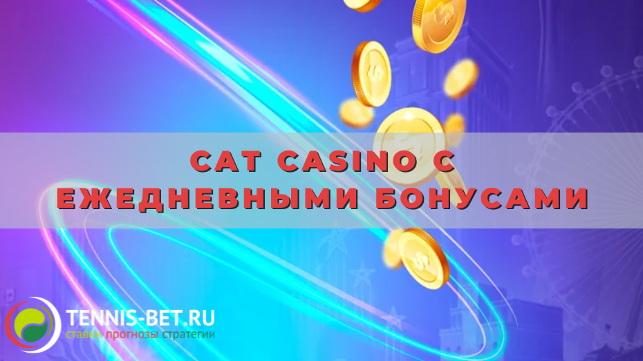 Cat casino с ежедневными бонусами
