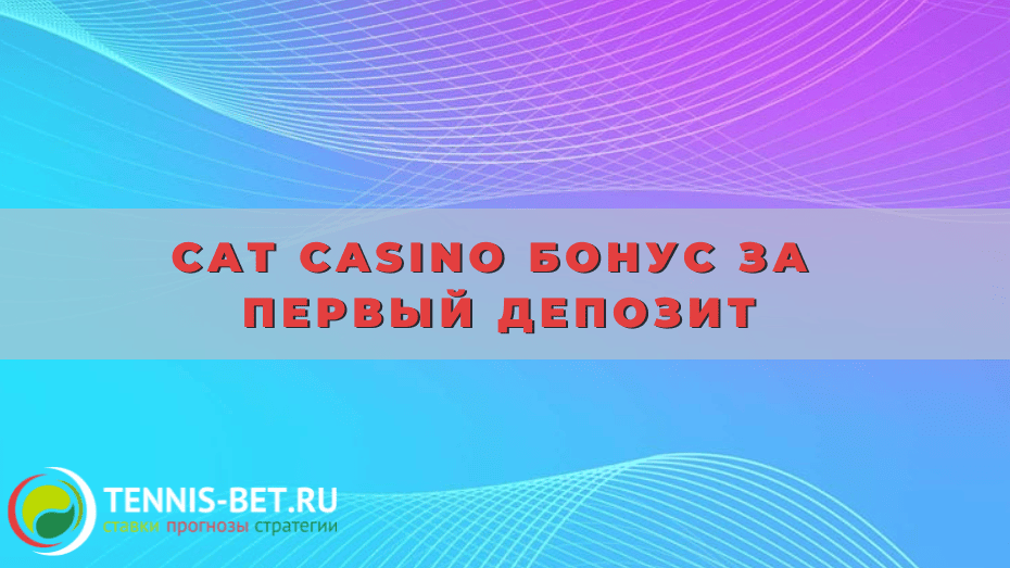 Cat casino бонус за первый депозит