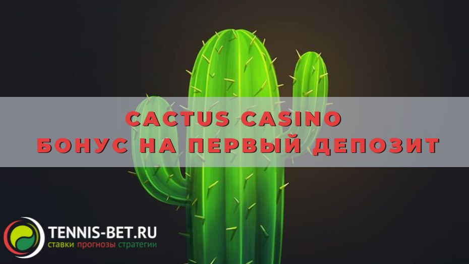 Cactus casino Бонус на первый депозит: мануал для новичка