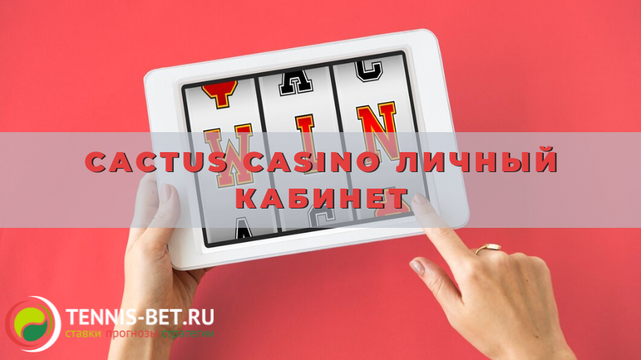 Cactus casino личный кабинет
