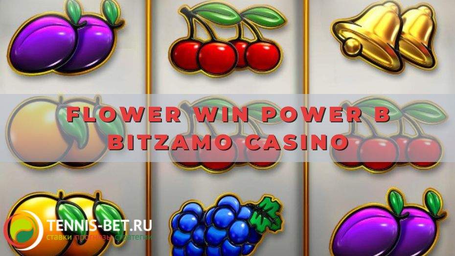 Flower Win Power в Bitzamo casino: руководство для участника