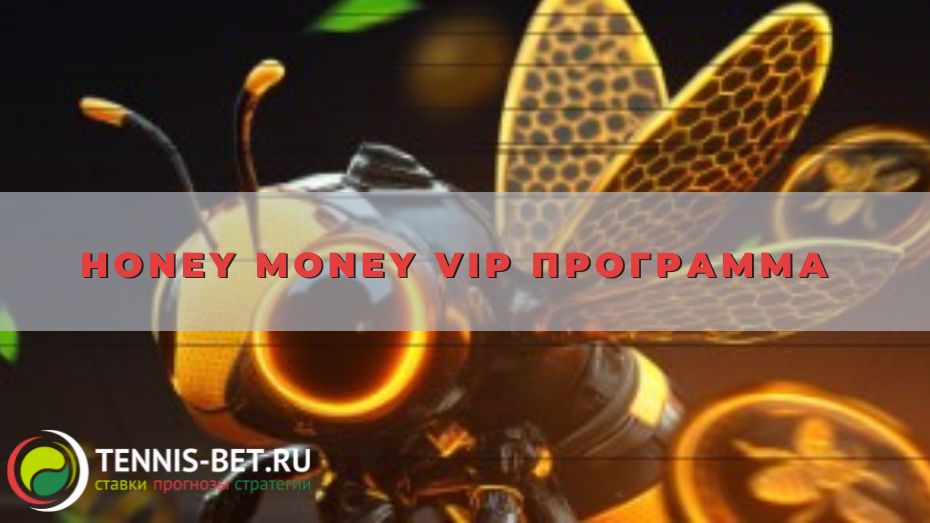 Honey Money VIP программа от А до Я