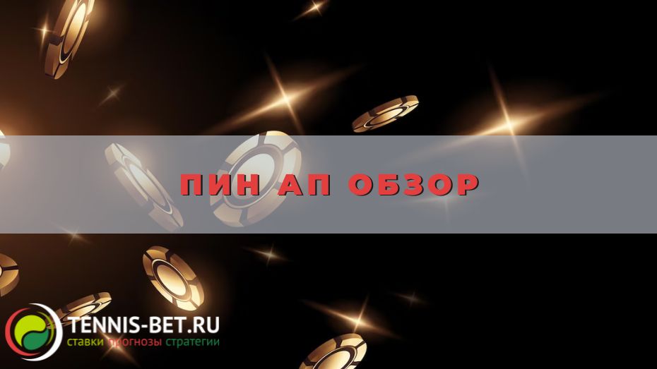 Пин Ап обзор