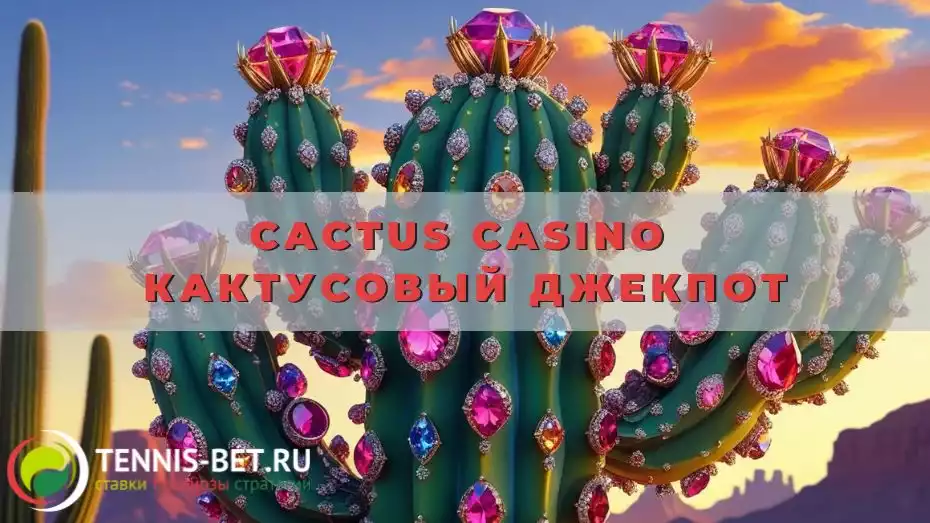 Cactus casino Кактусовый джекпот