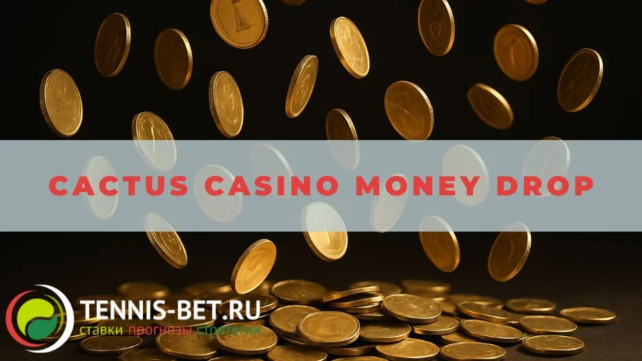 Cactus casino Money Drop