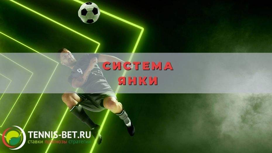 Система янки