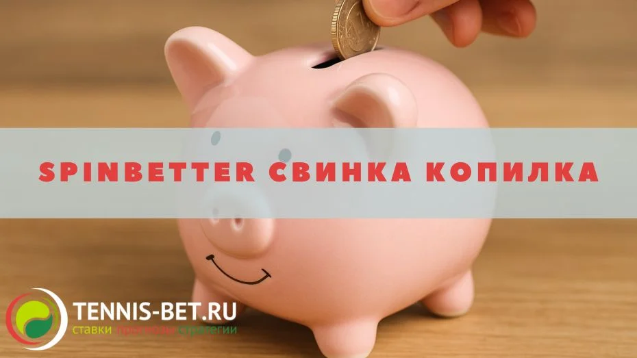 Spinbetter Свинка Копилка