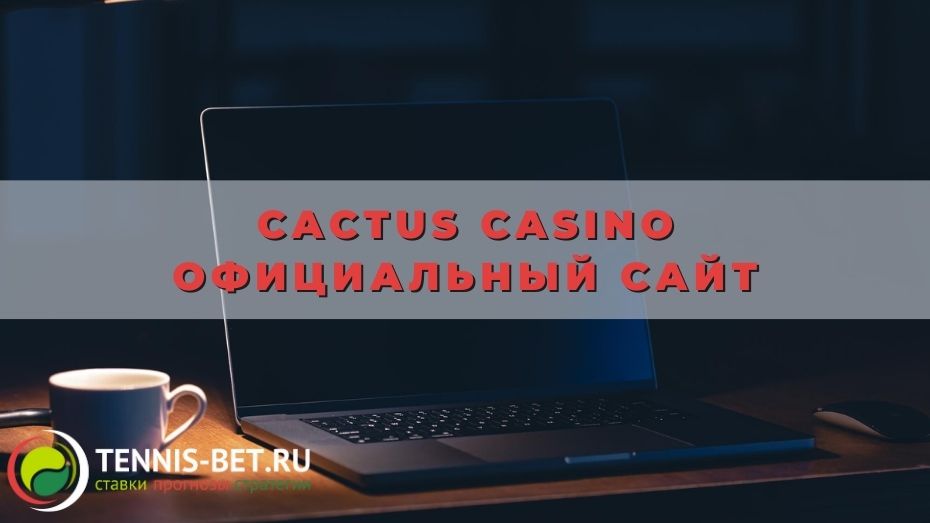 Cactus casino официальный сайт