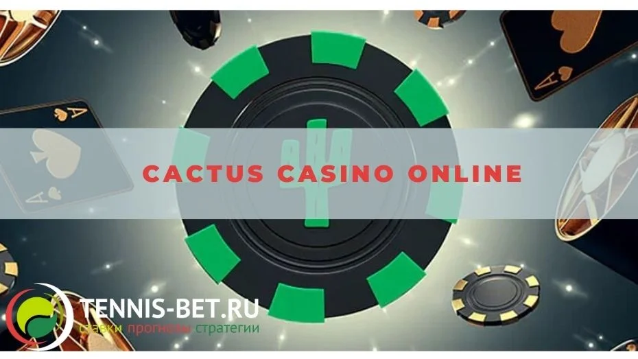Cactus casino online: гайд