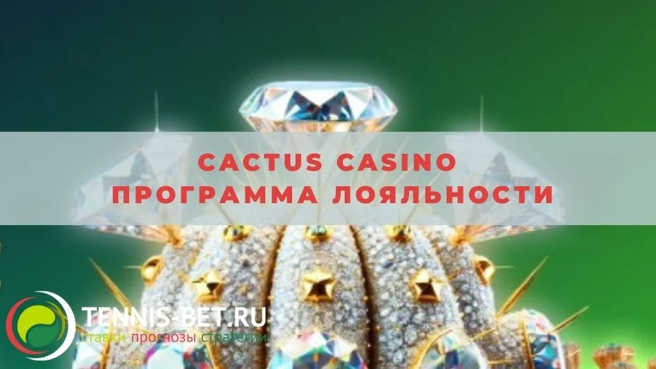 Cactus casino Программа лояльности: участие и награды