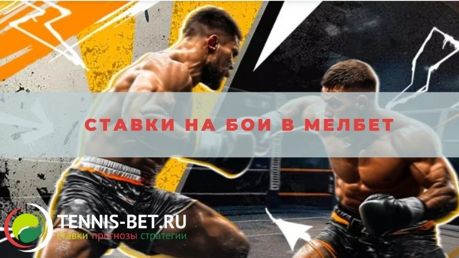Ставки на бои в Мелбет: руководство