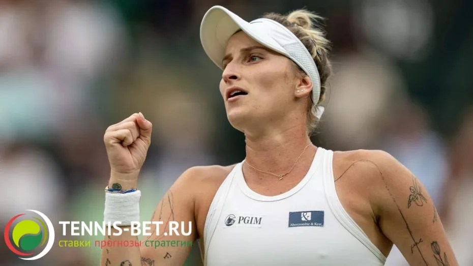 Вондроушова может пропустить до четырех лет