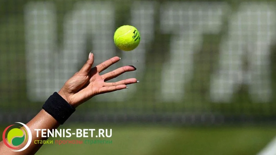 WTA обходит другие спортивные ассоциации по важному критерию